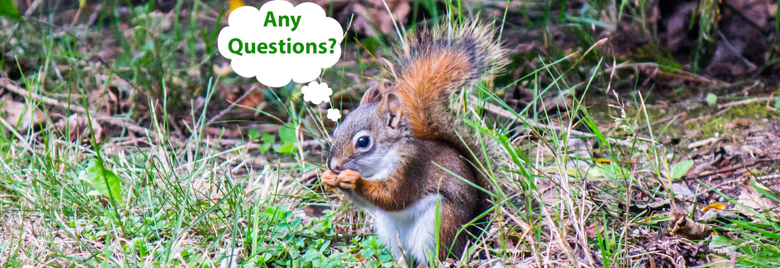 ontario-campground-questions port elgin campground questions